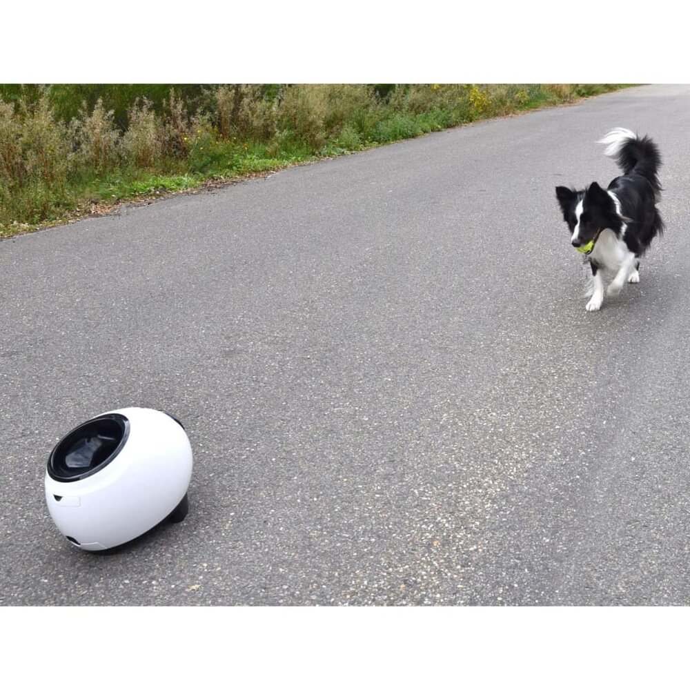 Balwerper met tennisballen Elton interactief 33x24x29 cm