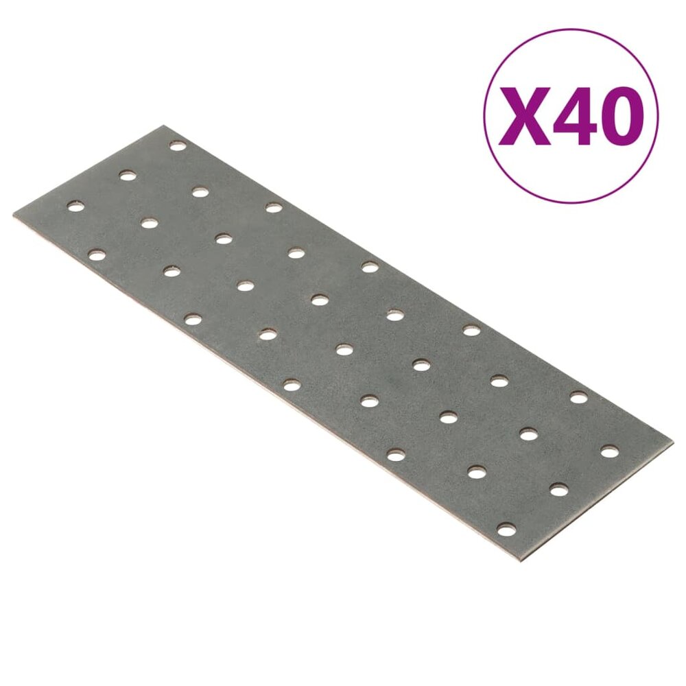 Platen geperforeerd 40 st 2 mm 200x60 mm gegalvaniseerd staal