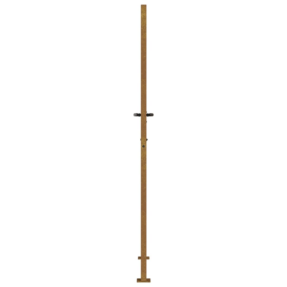 Poort grasontwerp 105x180 cm cortenstaal
