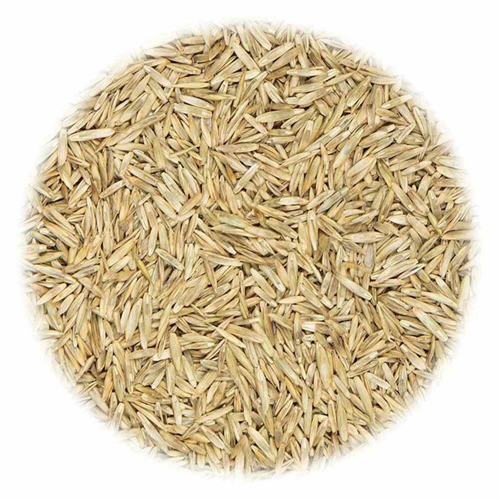Graszaad voor sport en spel 5 kg