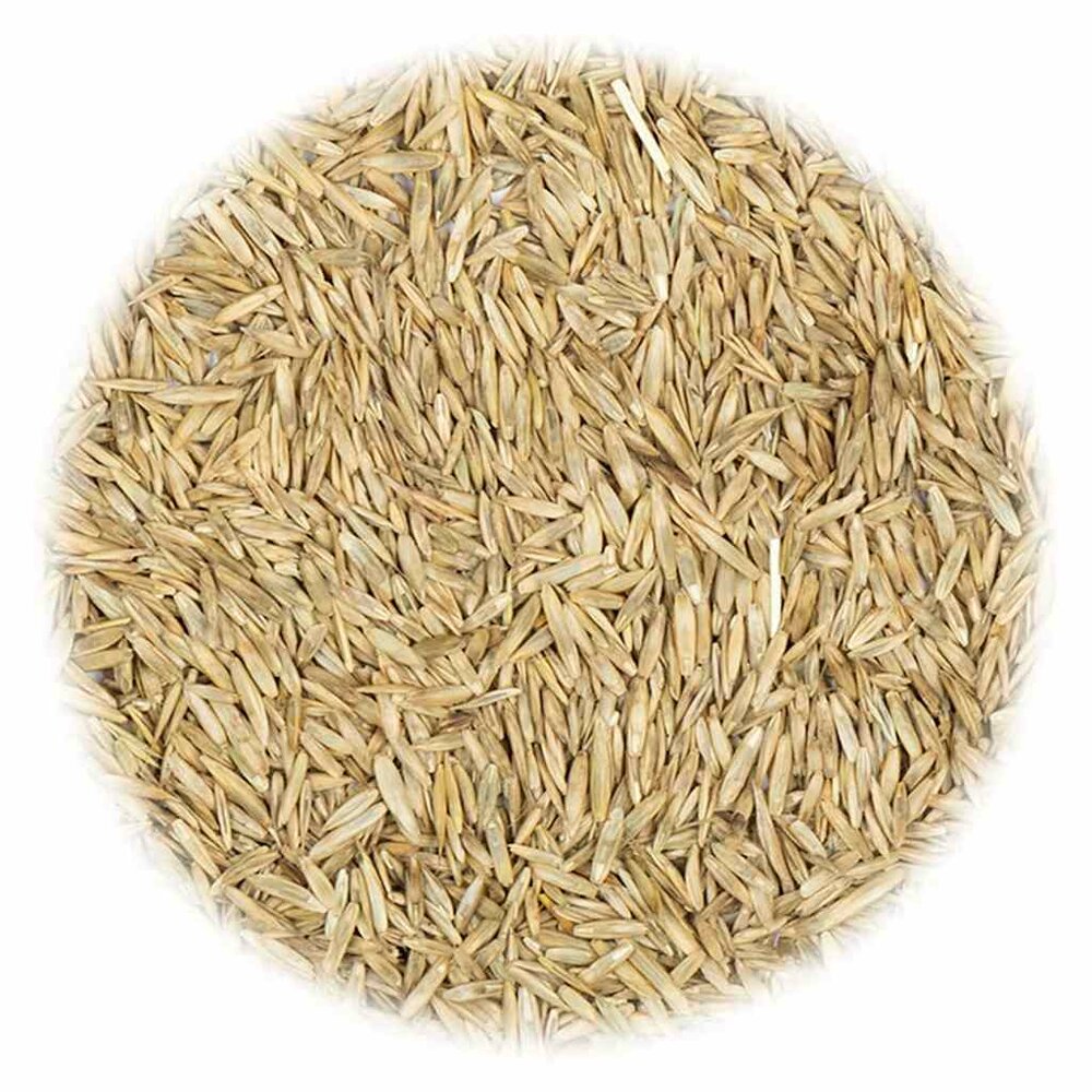 Graszaad voor droogte en warmte 5 kg