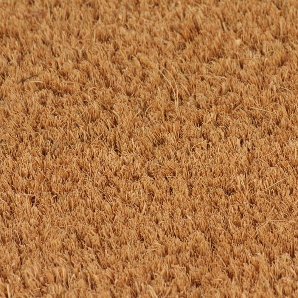Deurmat 50x80 cm getufte kokosvezel naturel
