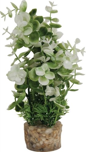 Zolux Ornament Pastic Plant Op Stenen Puntig Assorti 20X10X10 CM