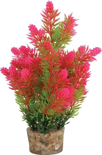 Zolux Ornament Pastic Plant Op Stenen Puntig Assorti 20X10X10 CM
