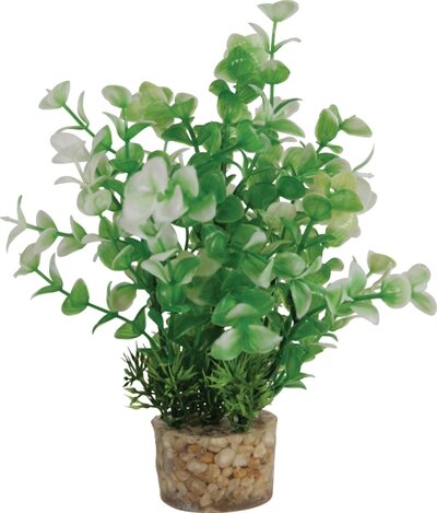 Zolux Ornament Pastic Plant Op Stenen Vrolijk Assorti 20X10X10 CM