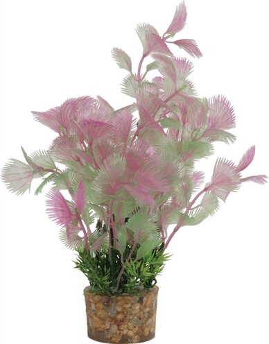 Zolux Ornament Pastic Plant Op Stenen Vrolijk Assorti 20X10X10 CM