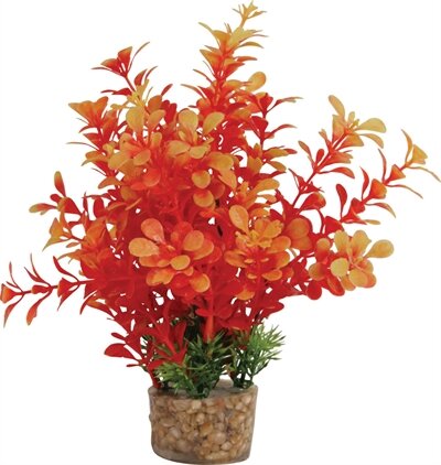 Zolux Ornament Pastic Plant Op Stenen Vrolijk Assorti 20X10X10 CM