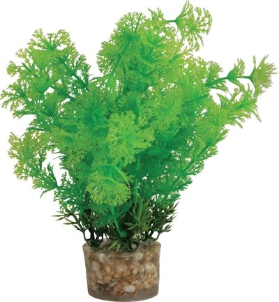 Zolux Ornament Pastic Plant Op Stenen Neutraal Assorti 20X10X10 CM