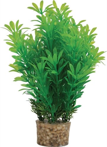 Zolux Ornament Pastic Plant Op Stenen Neutraal Assorti 20X10X10 CM