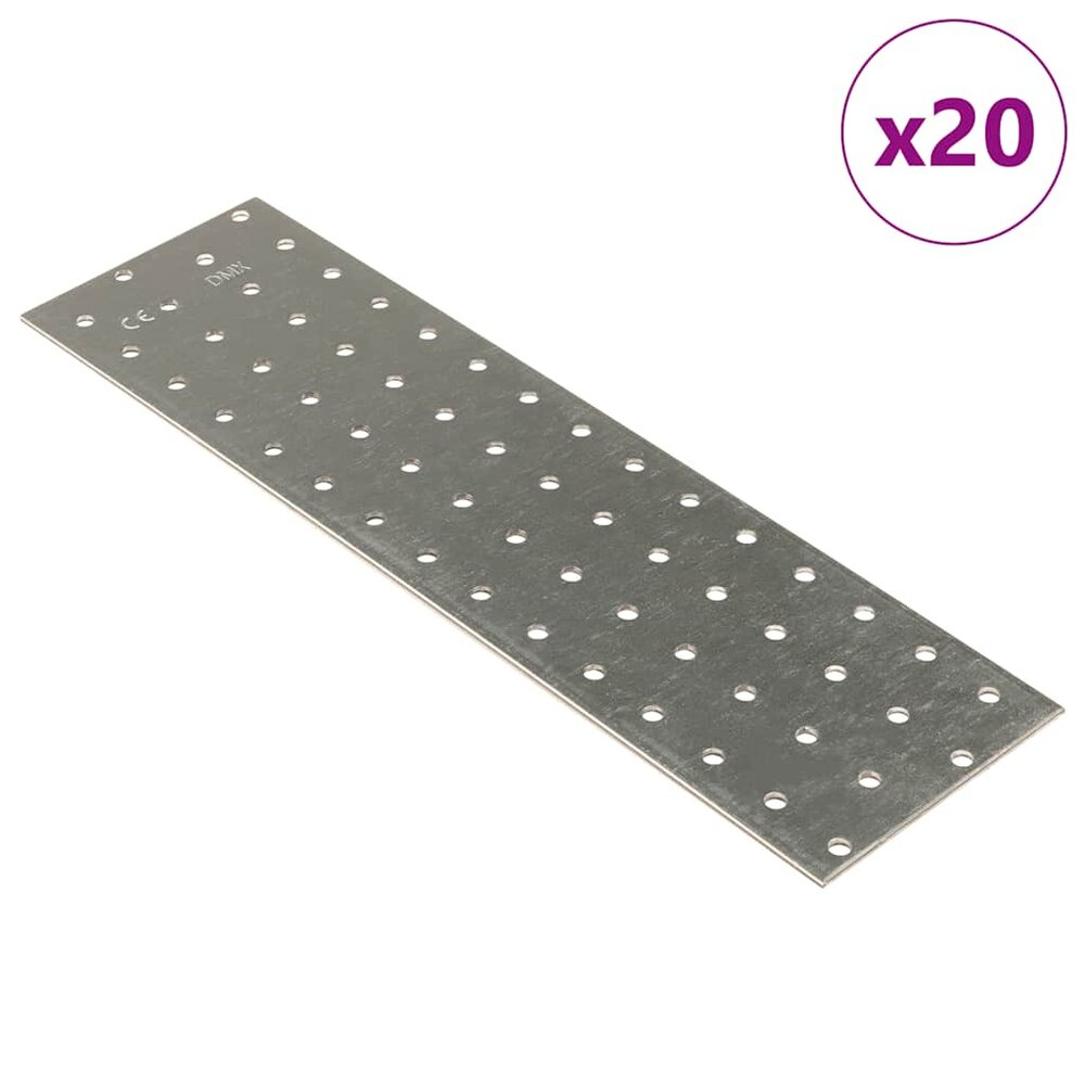 Platen geperforeerd 20 st 2 mm 300x80 mm gegalvaniseerd staal