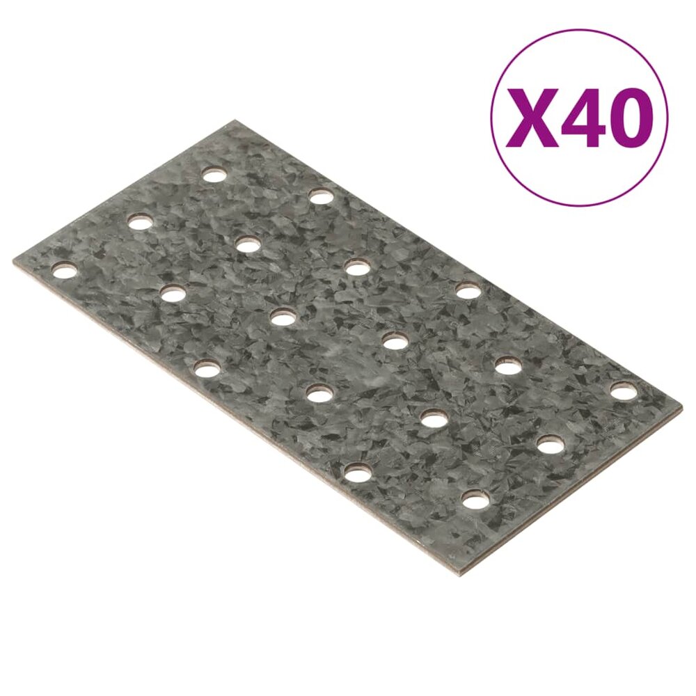 Platen geperforeerd 40 st 2 mm 120x60 mm gegalvaniseerd staal
