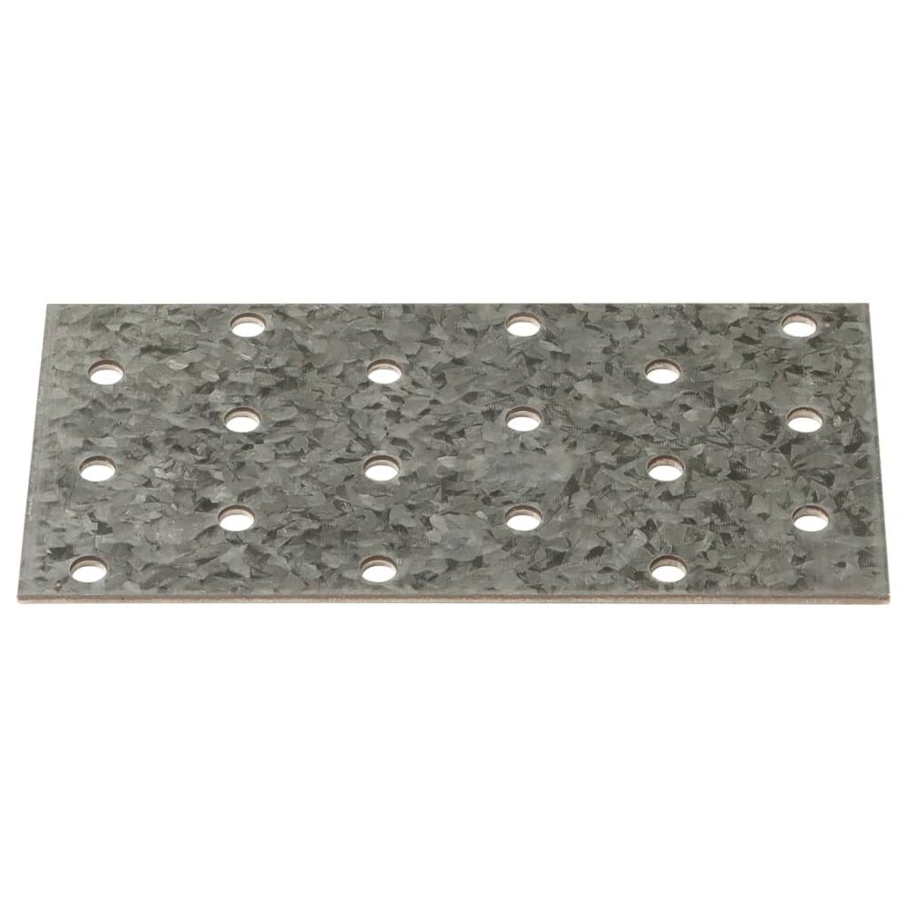 Platen geperforeerd 40 st 2 mm 120x60 mm gegalvaniseerd staal