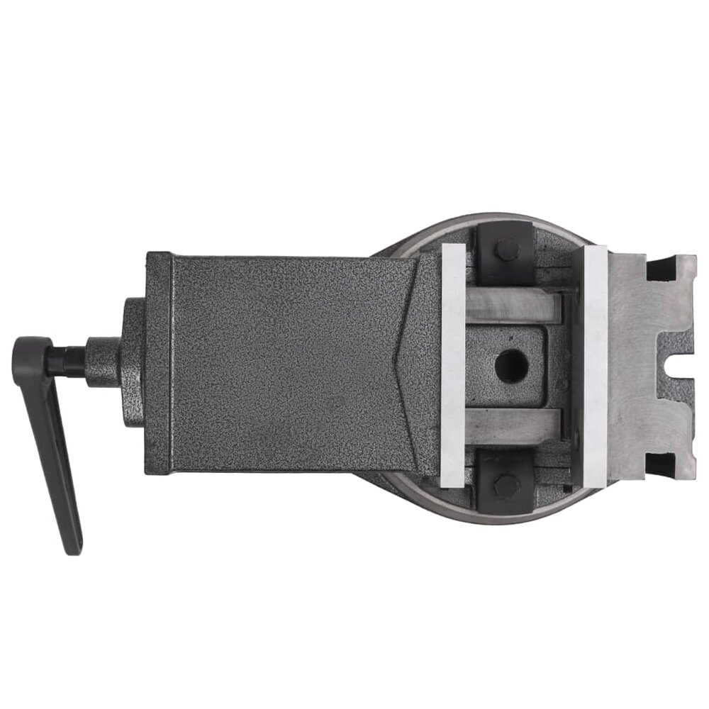 Bankschroef met 2 assen kantelbaar 160 mm