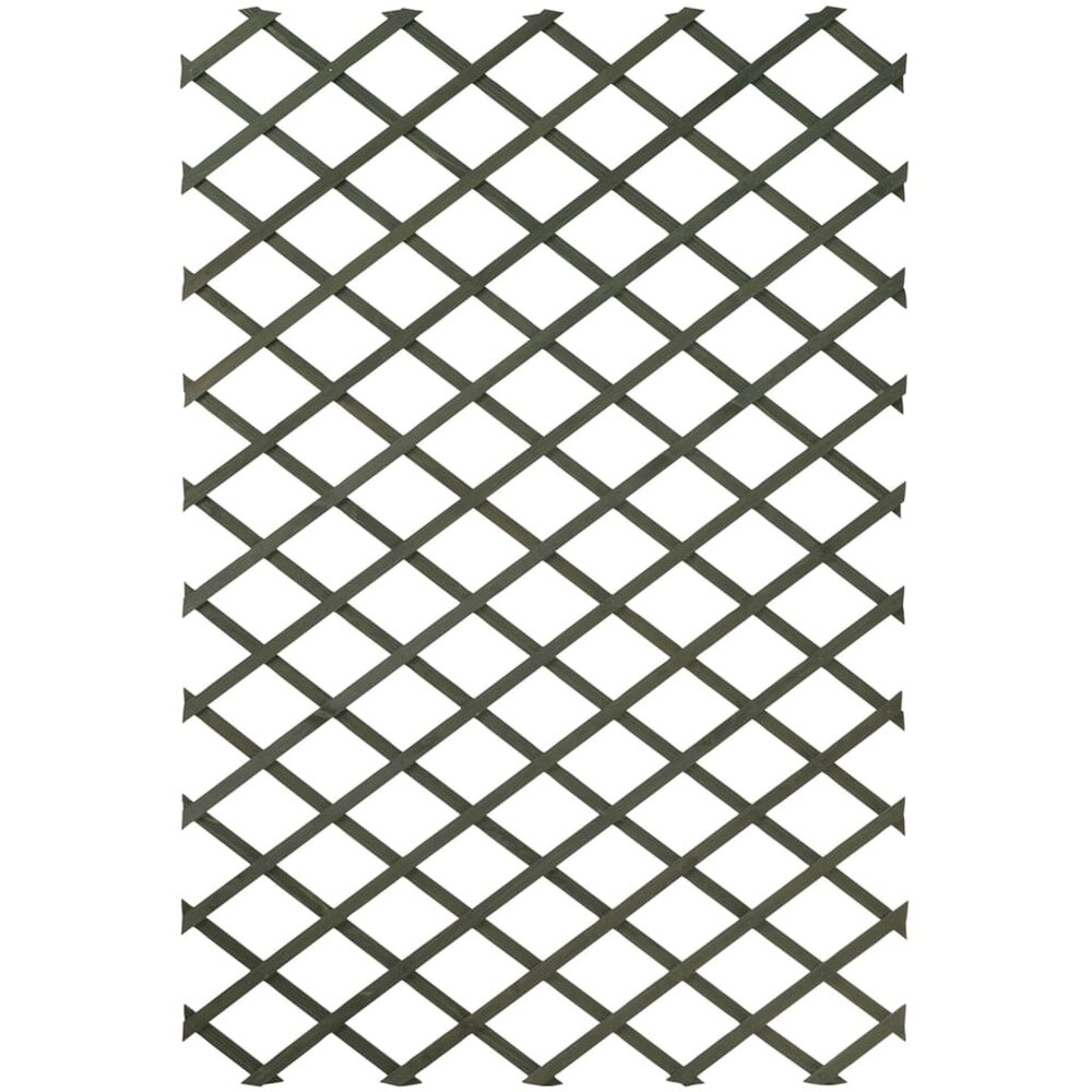 Tuinlatwerken 2 st 50x150 cm hout groen