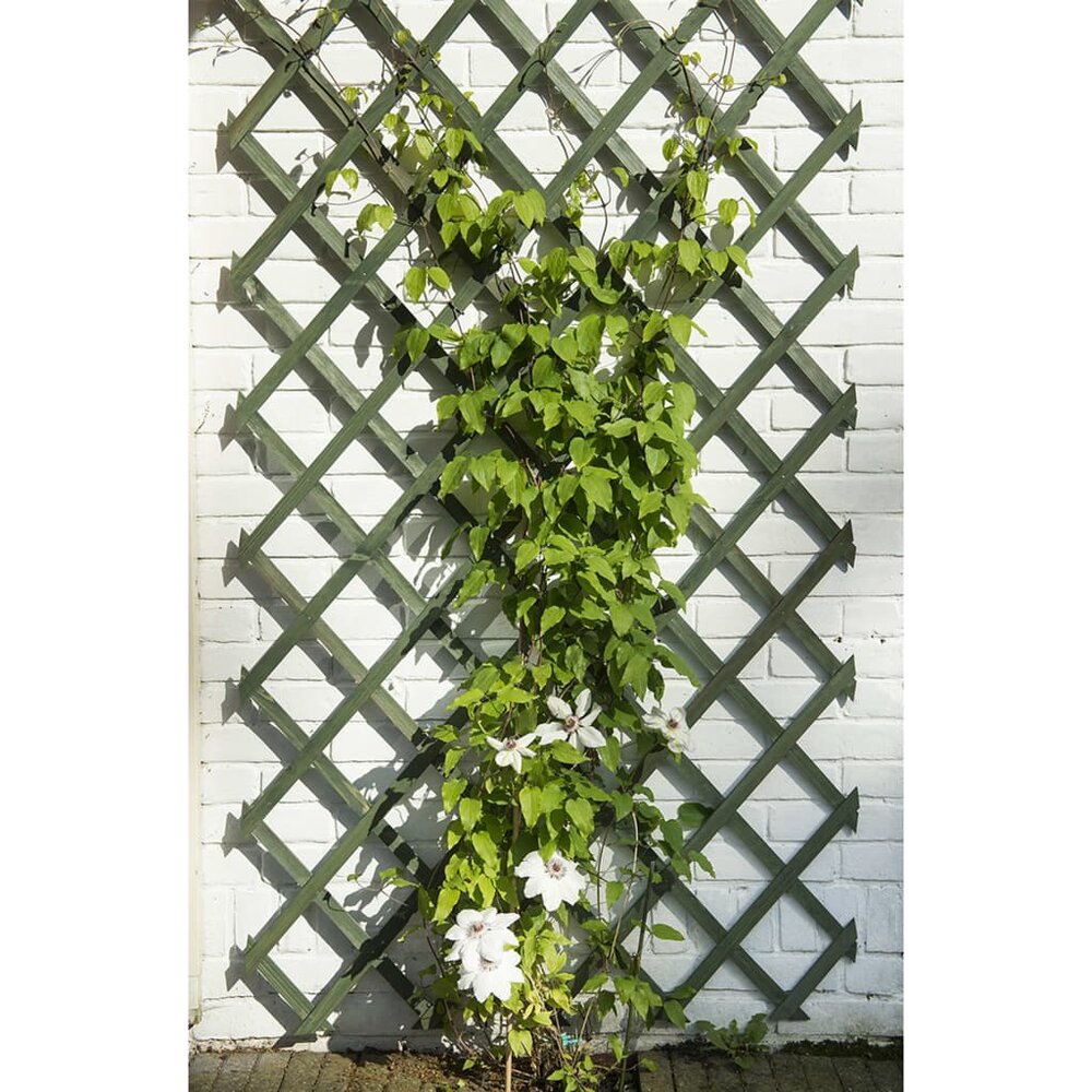 Tuinlatwerken 2 st 50x150 cm hout groen