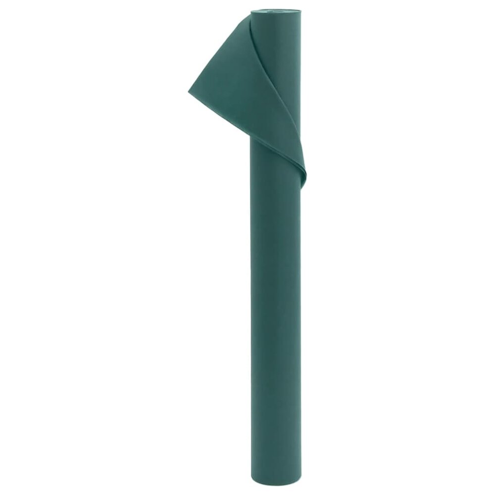 Vliesdoek voor planten 2 rollen 70 g/m&sup2; 10x1,6 m
