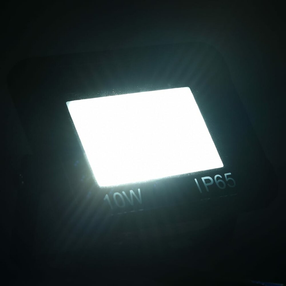 Spotlights 2 st LED 10 W koudwit