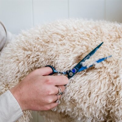 Mikki Doodle Schaar Recht 18 CM