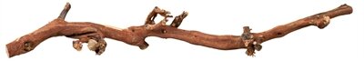 Trixie Druiventakken 40-60 CM 5 ST