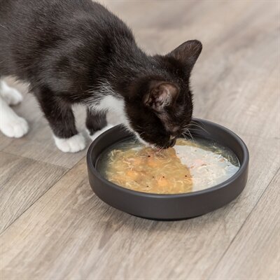Trixie Soep Met Kip En Garnalen 4X4X80 GR