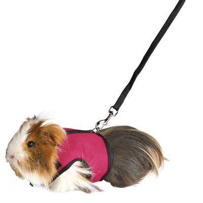 Trixie Softtuig Met Riem Cavia Assorti 18-25 CM / 120 CM 4 ST