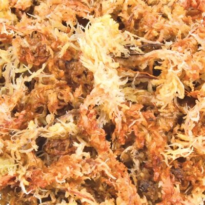 Trixie Reptiland Veenmos Tropisch Terrariumsubstraat Uitbreiding 4X45 LTR