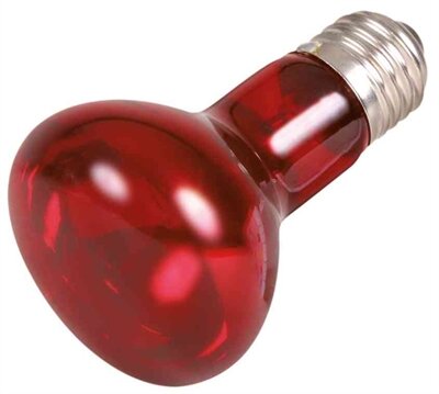 Trixie Reptiland Infrarood Warmtelamp 6,3X6,3X10 CM 35 WATT 3 ST