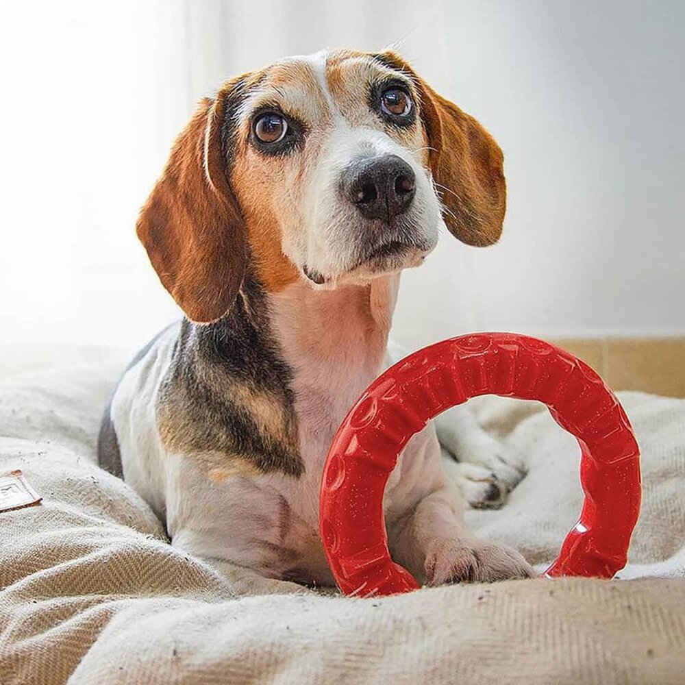 Kauwspeeltje voor honden Smile large 20x18x4 cm rood