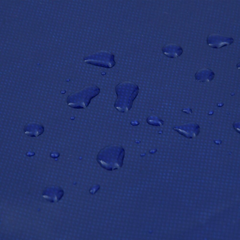 Dekzeil 650 g/m&sup2; 4x5 m blauw