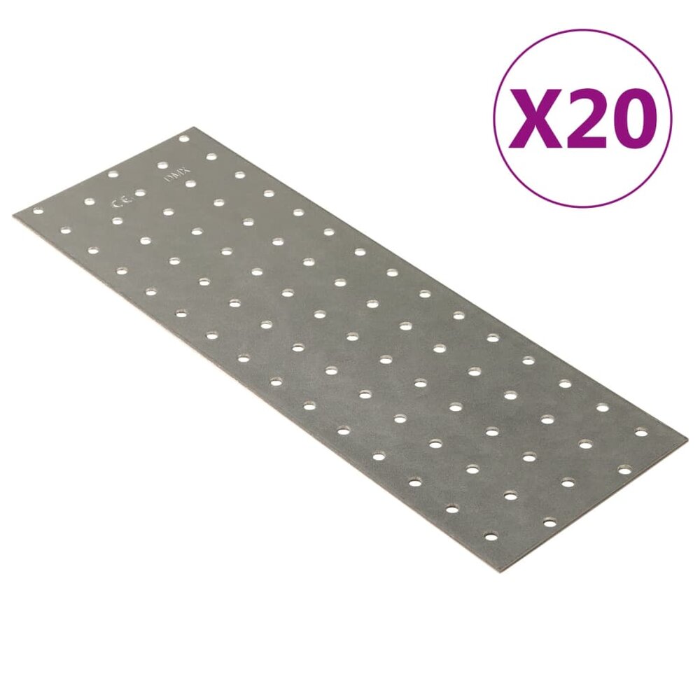 Platen geperforeerd 20 st 2 mm 300x100 mm gegalvaniseerd staal