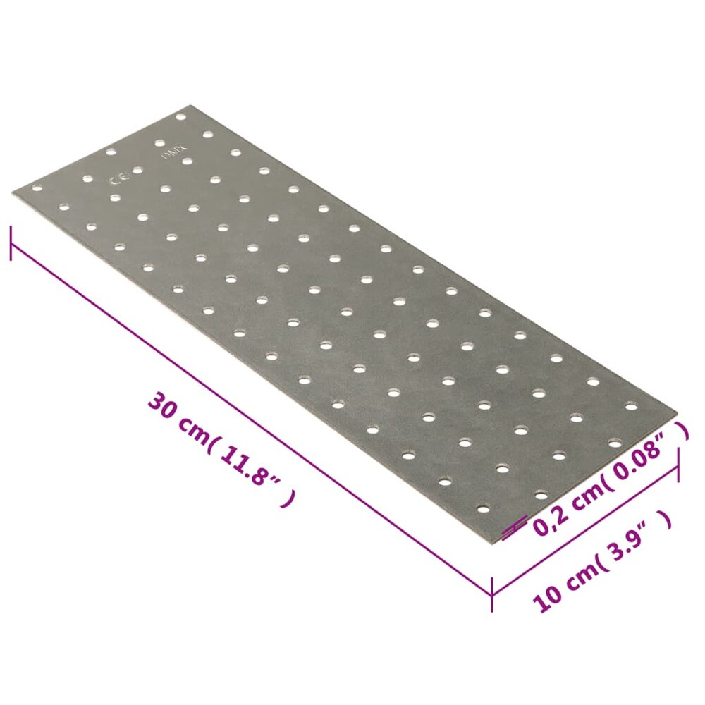 Platen geperforeerd 20 st 2 mm 300x100 mm gegalvaniseerd staal