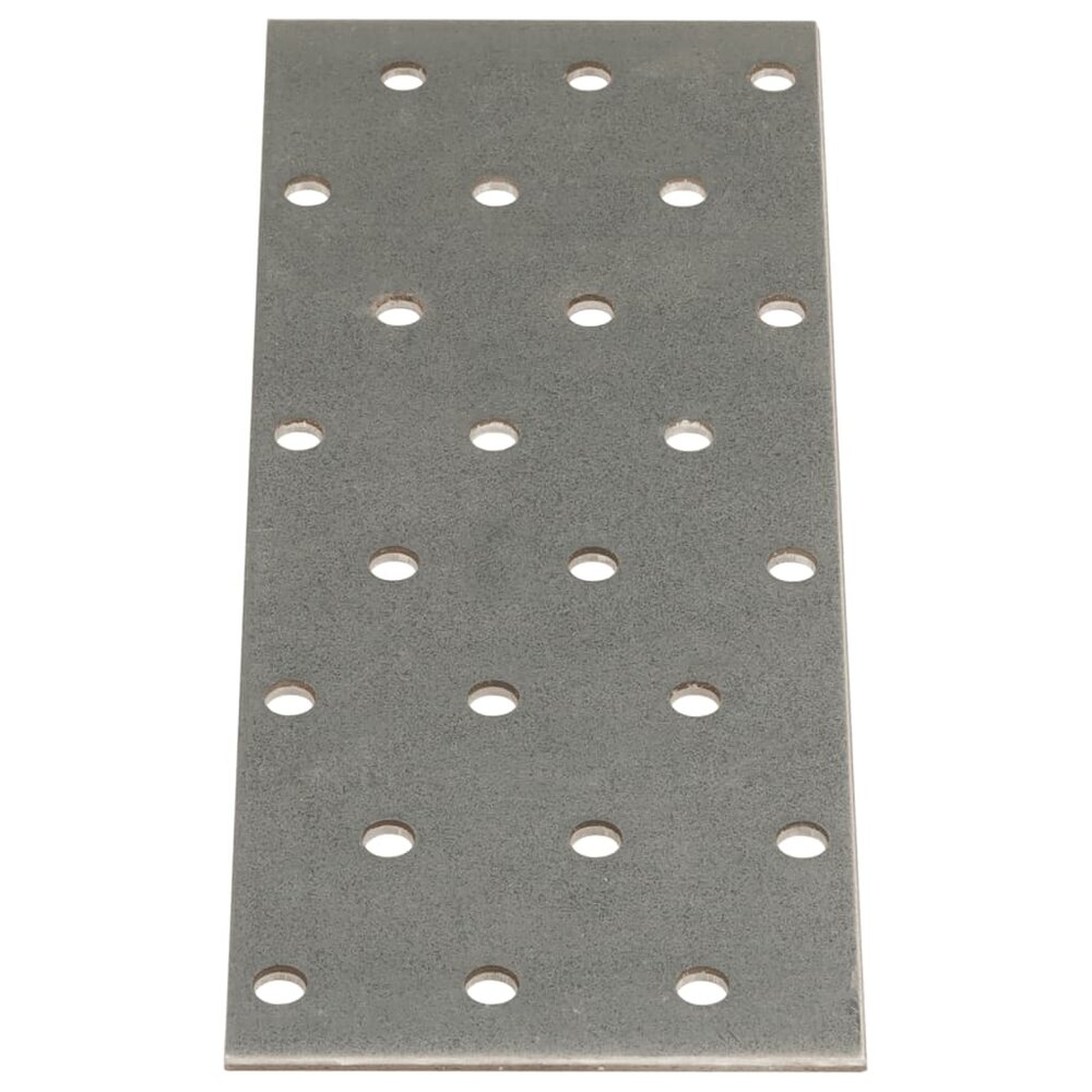 Platen geperforeerd 40 st 2 mm 160x60 mm gegalvaniseerd staal