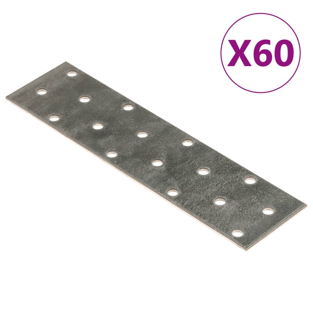 Platen geperforeerd 60 st 2 mm 160x40 mm gegalvaniseerd staal