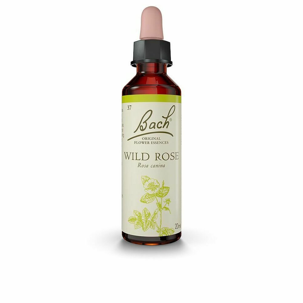 Bach Flower Essence Bach Wild Rose
