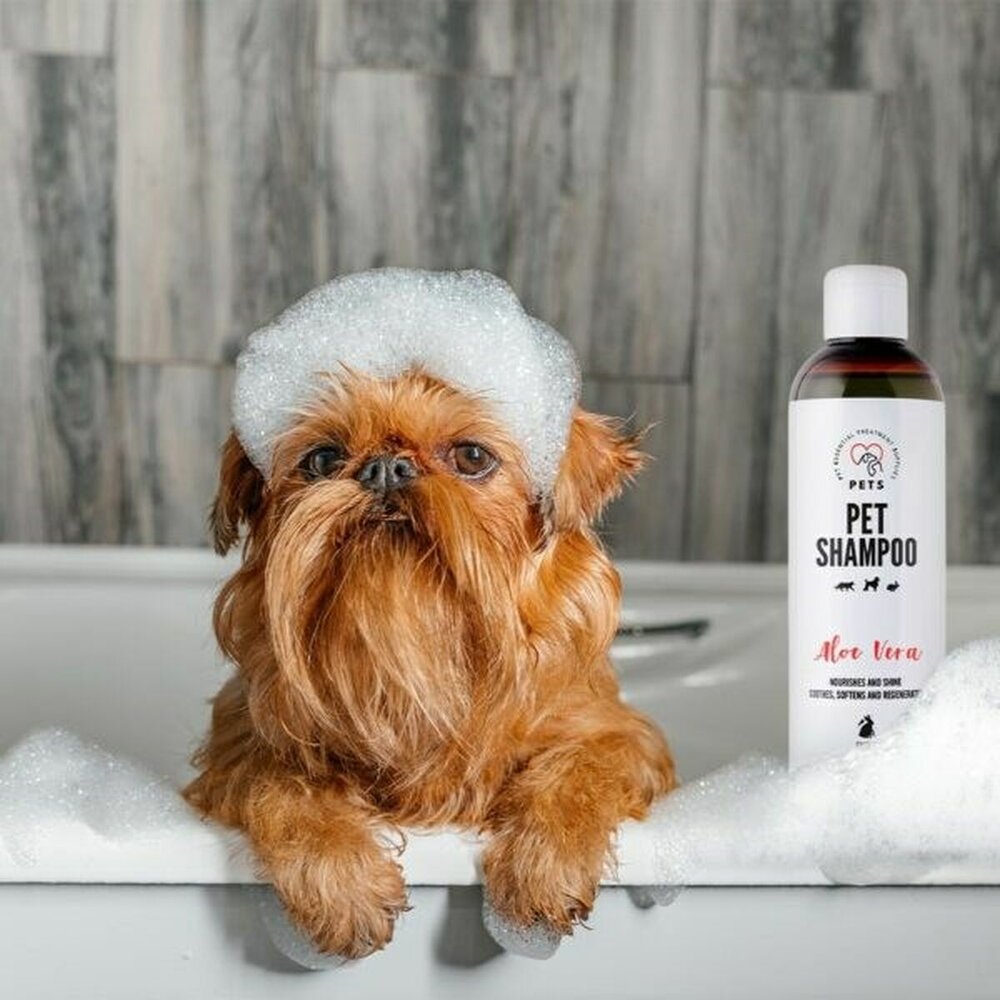 Pets Dierenshampoo Pets Alo&euml; Vera 250 Ml Kat