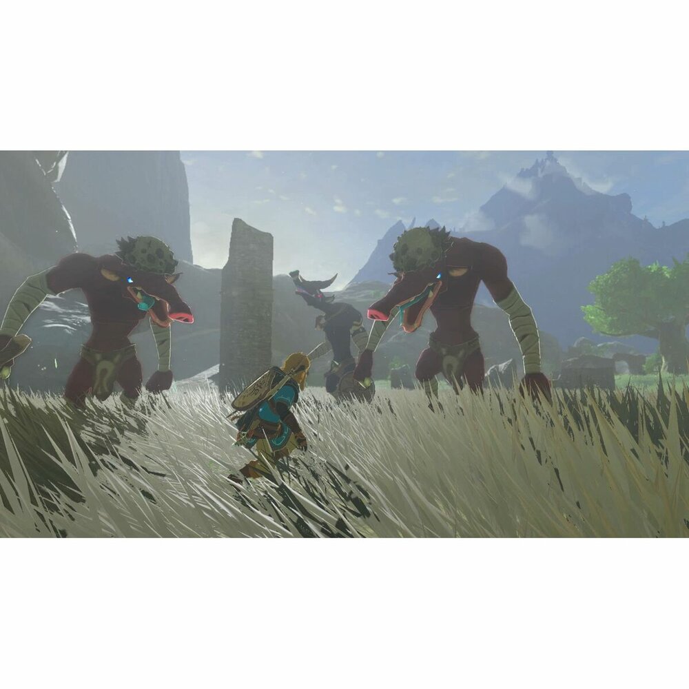 Nintendo Videogame Voor Switch Nintendo Tloz Tea Oftkin