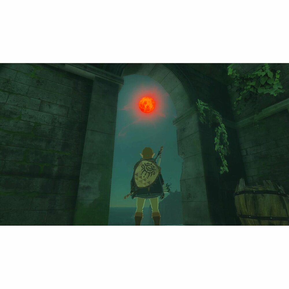 Nintendo Videogame Voor Switch Nintendo Tloz Tea Oftkin