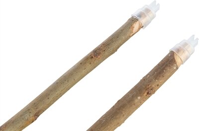 Trixie Zitstokken Schorshout 55 CM / 10-12 MM 4X2 ST