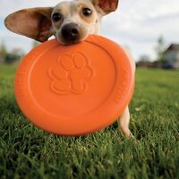 Hondenfrisbee Zisc oranje maat L 1937