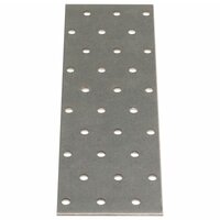 Platen geperforeerd 40 st 2 mm 200x60 mm gegalvaniseerd staal