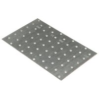 Platen geperforeerd 20 st 2 mm 200x120 mm gegalvaniseerd staal
