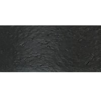Borderrand getextureerd 0,12x24 m 5 mm zwart