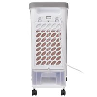 Luchtkoeler draagbaar 80 W 4 L 25x26x56 cm
