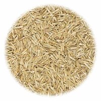 Graszaad voor sport en spel 5 kg
