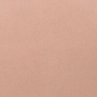 Borstprothese E-cup silicone naturel