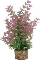 Zolux Ornament Pastic Plant Op Stenen Puntig Assorti 20X10X10 CM