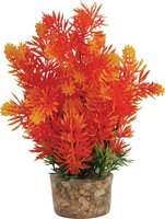 Zolux Ornament Pastic Plant Op Stenen Puntig Assorti 20X10X10 CM