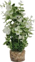 Zolux Ornament Pastic Plant Op Stenen Puntig Assorti 20X10X10 CM