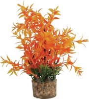 Zolux Ornament Pastic Plant Op Stenen Puntig Assorti 20X10X10 CM