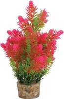 Zolux Ornament Pastic Plant Op Stenen Puntig Assorti 20X10X10 CM
